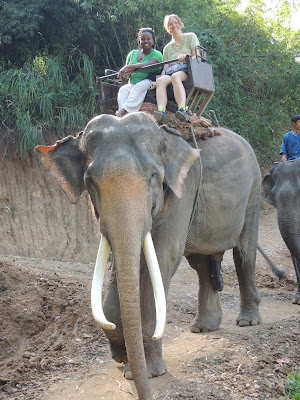 riding an elephant