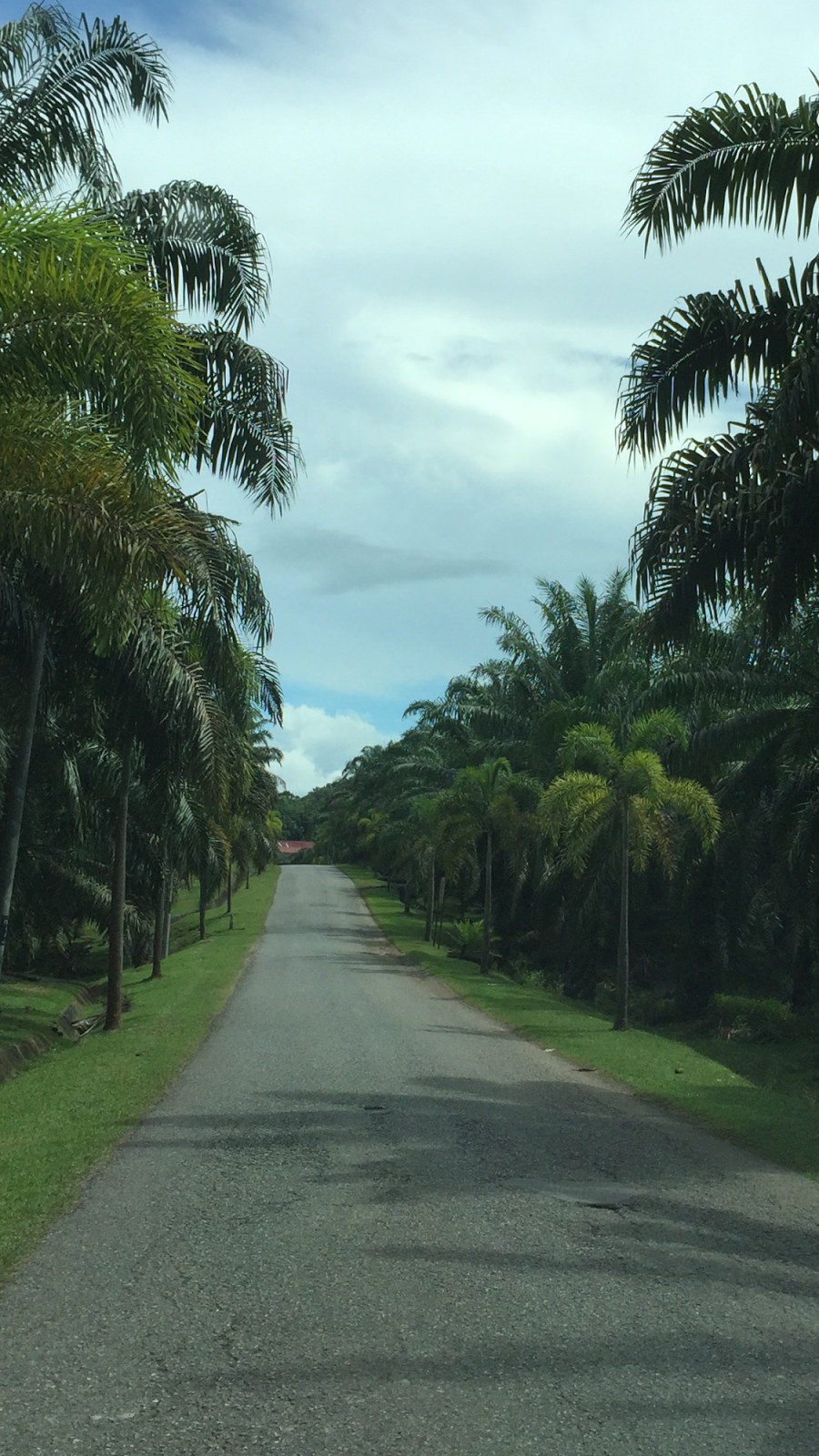 Jalan jalan Balik Kampung