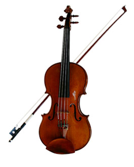 Violin Musical Instruments