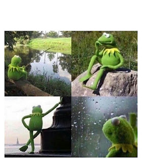KERMIT THE FROG WAITING