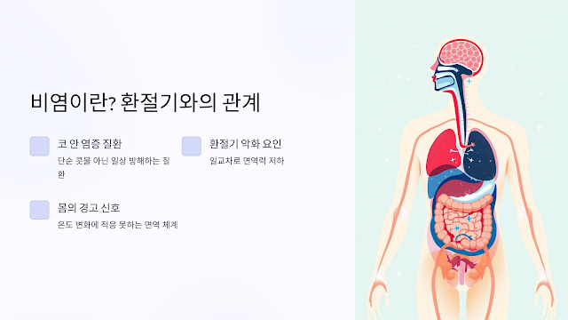 비염이란? 환절기와의 관계