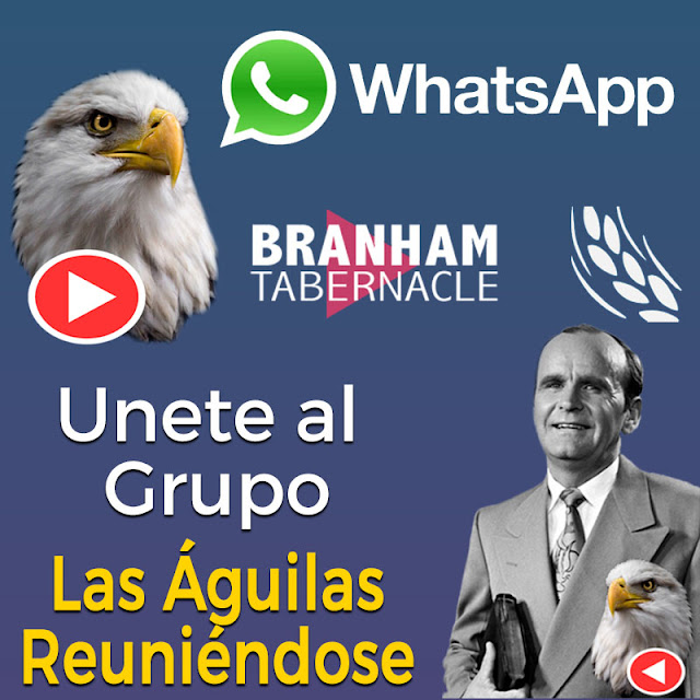 las aguilas reunienodose whatsapp