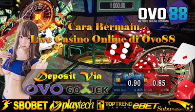 Cara Bermain Live Casino Online di Ovo88