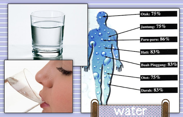 manfaat air putih untuk kesehatan tubuh dan sebagai menu makanan 4 sehat 5 sempurna yang disarankan