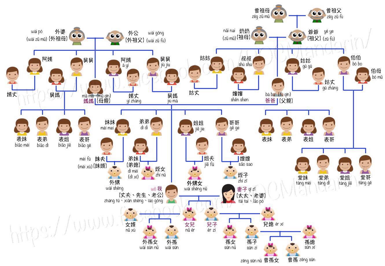 Online Mandarin Learning Betty S Chinese Word Cards 家庭树family Tree