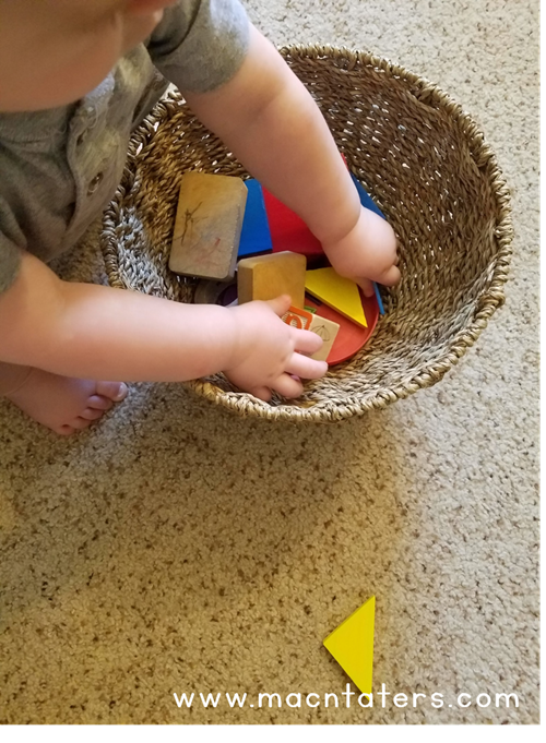 Shape Discovery Basket