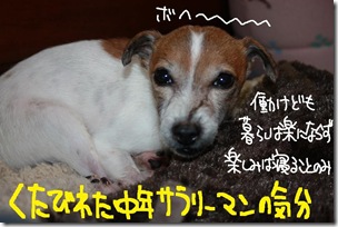 今日カズ１０１２１５　３