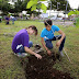 Perseverante labor de reforestación del Ayuntamiento