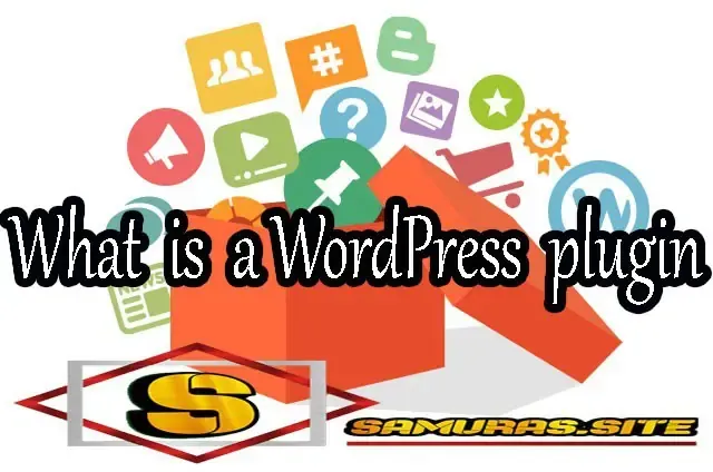 What is a WordPress plugin and how to install the plugin