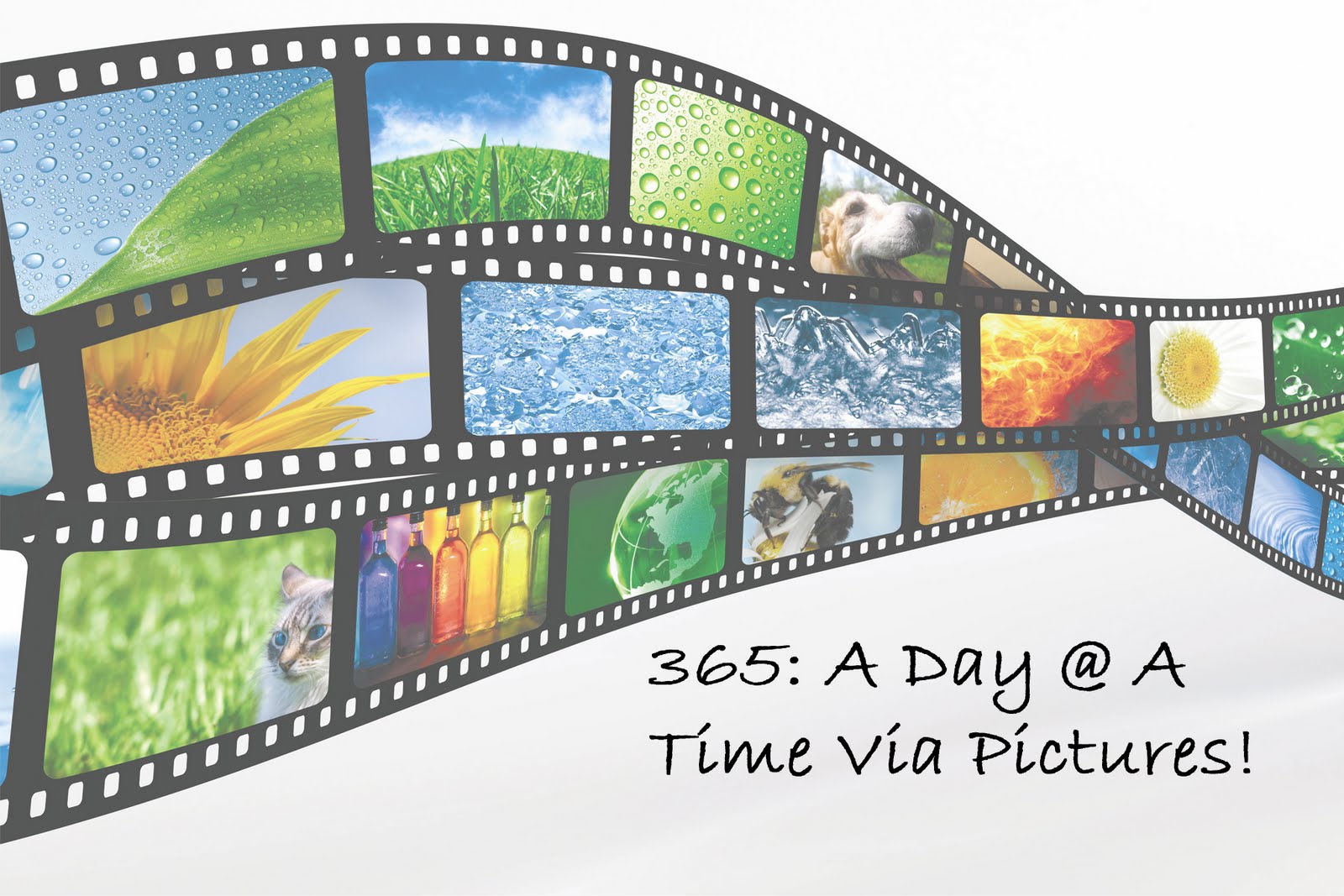 365: A Day @ A Time Via Pictures!