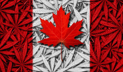 marijuana, canada, cannabis, legal weed, justin trudeau, business, legalization, canada legalizes, legal pot, canada weed, recreational marijuana, marijuana legalization