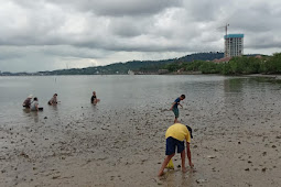 Air Laut Surut, Pengunjung Pantai Marina Sekupang Mencari Kerang   