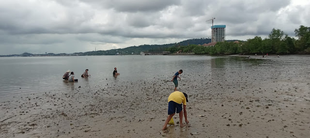 Air Laut Surut, Pengunjung Pantai Marina Sekupang Mencari Kerang