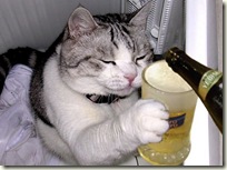 BeerCat02