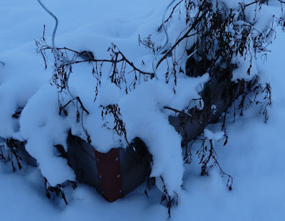 Gartenrundgang Januar - Hochbeet