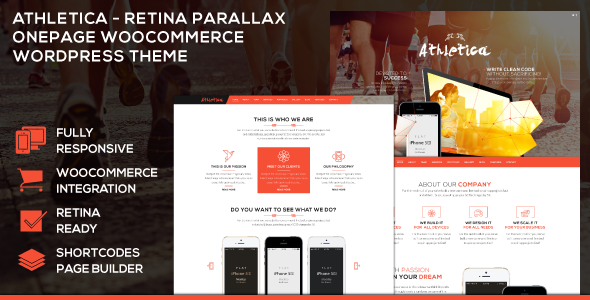 eCommerce wp theme