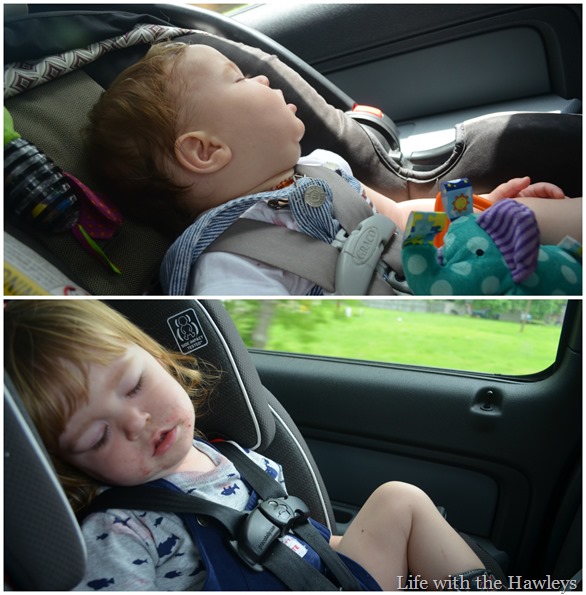 2015 & 2016