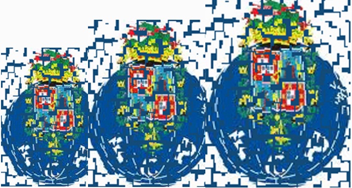 Consciência ambiental. Lixo no lixo!