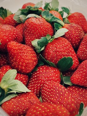 Cameron Highlands Travelogue
