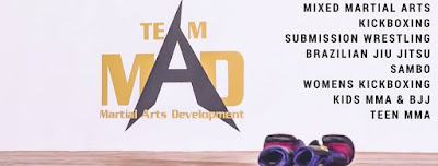 https://www.martialartsdevelopment.com/