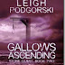 Orangeberry Book Of The Day – Gallows Ascending (Stone Quest) by Leigh Podgorski