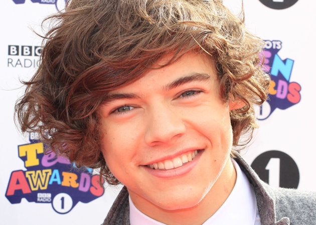 one direction harry styles