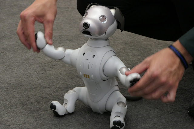 Sony robot dog, aibo, home robots, sony pet robots, ai, hri, robot pets consumer robots, japan human robot interaction