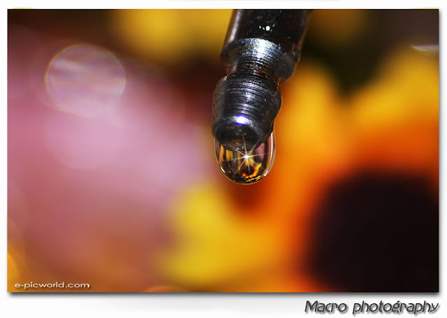 refraction water droplets macro picture