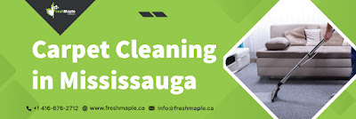 Carpet%20Cleaning%20in%20Mississauga%202.jpg