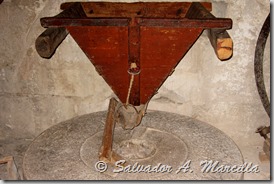 IMG_1834a