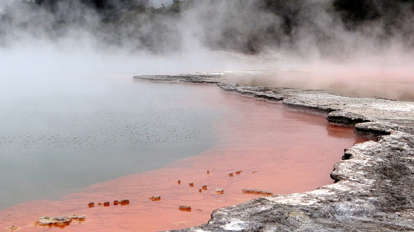 Rotorua - New Zealand North Island , Nova Zelandia Ilha Norte