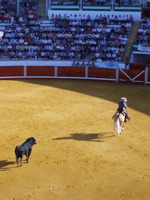 Corrida de rejones del 26 de Septiembre de 2010 en Pozoblanco. Foto: Pozoblanco News, las noticias y la actualidad de Pozoblanco (Córdoba)* www.pozoblanconews.blogspot.com