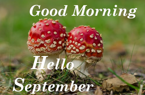 Good Morning Hello September