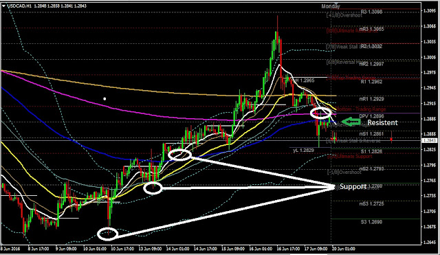 Forex Daily Analysis USDCAD June 20, 2016