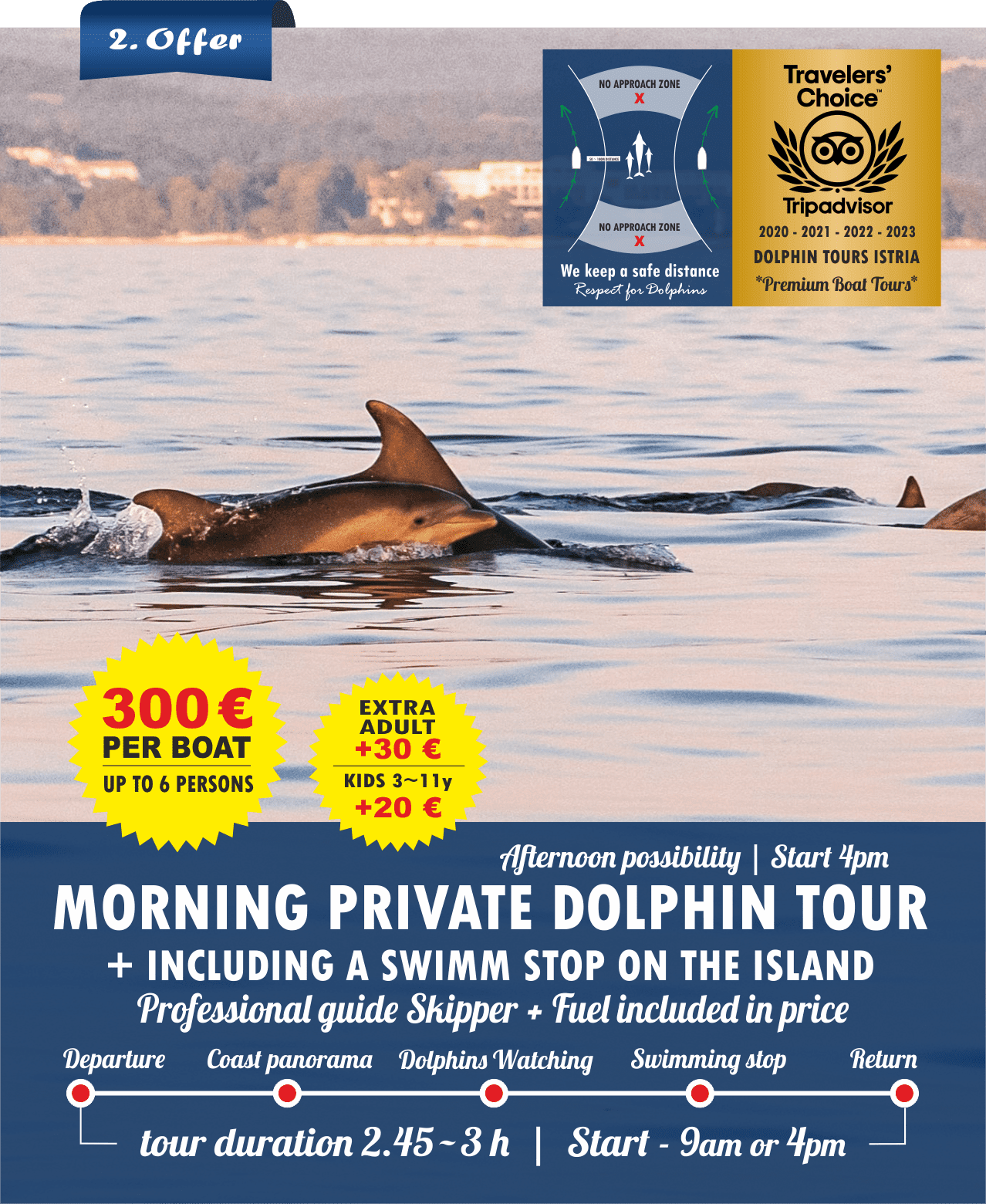 morning dolphin tour
