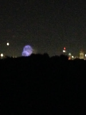 fireworks as seen from the top of peter's hill in the arnold arboretum of boston in roslindale