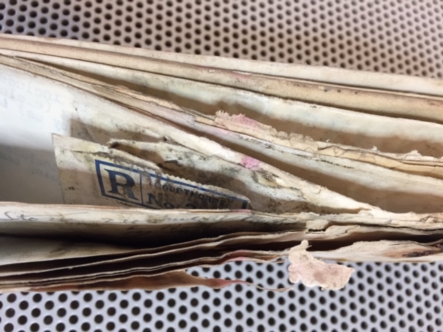 Bundle of paper documents affected by mould.