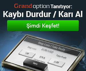 ikili opsiyon sağlayıcısı