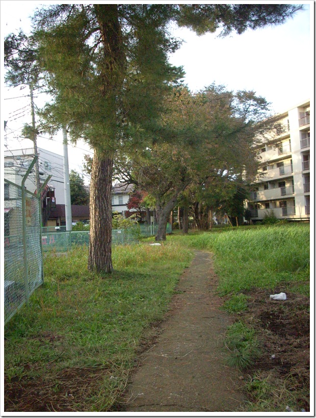20111112_153102