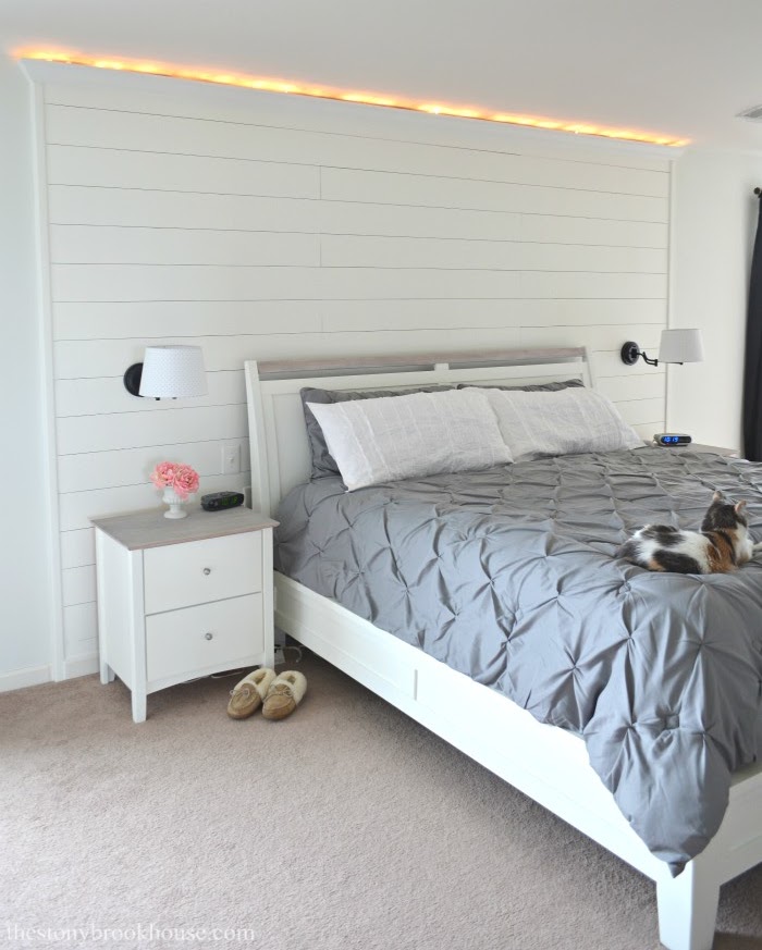 Accent Shiplap wall