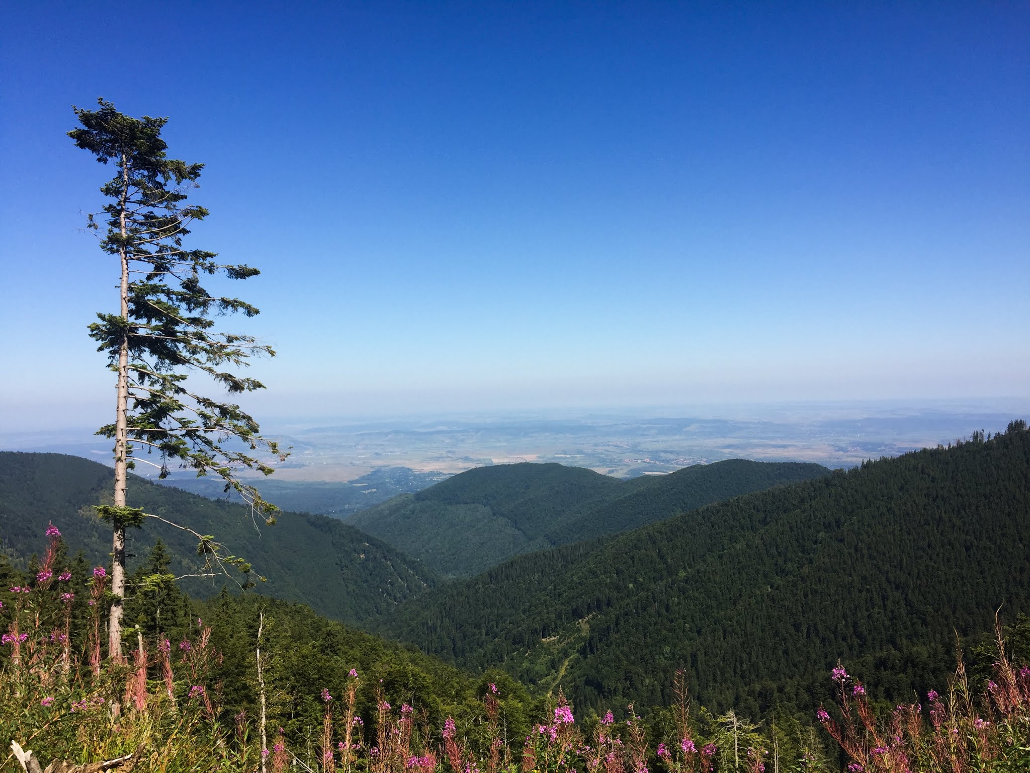 Prin Muntii Fagaras