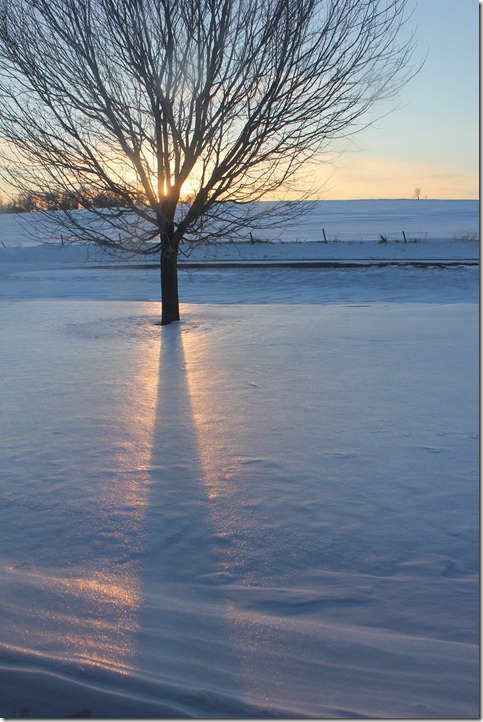 Winter 198