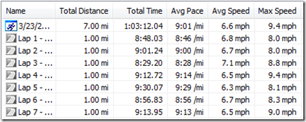 2011-03-23_1636garmin