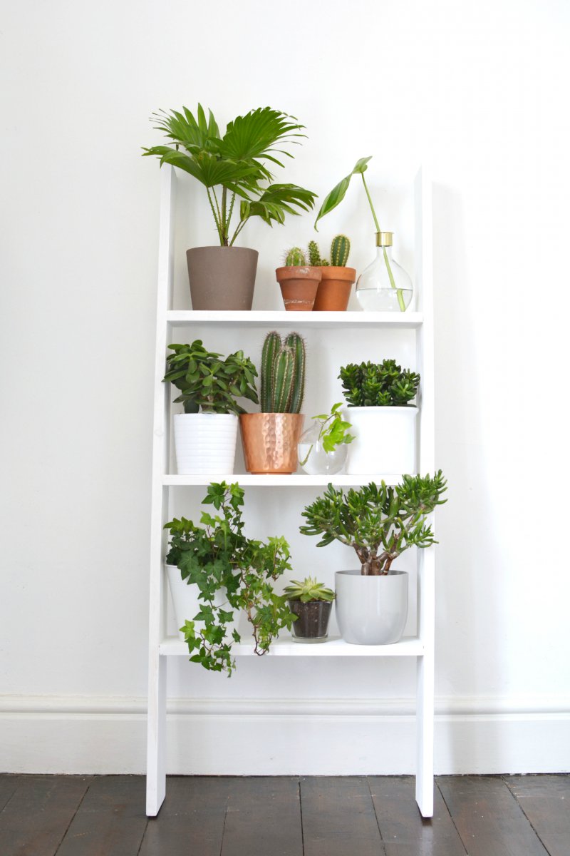 4 ideas for decorating with plants BURKATRON