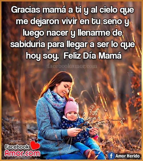 frases hermosas para mamá