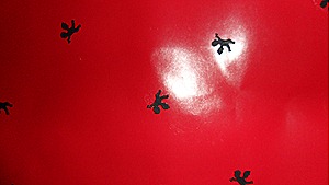 SAM_0713