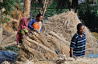 Village at Sundarban National Park
