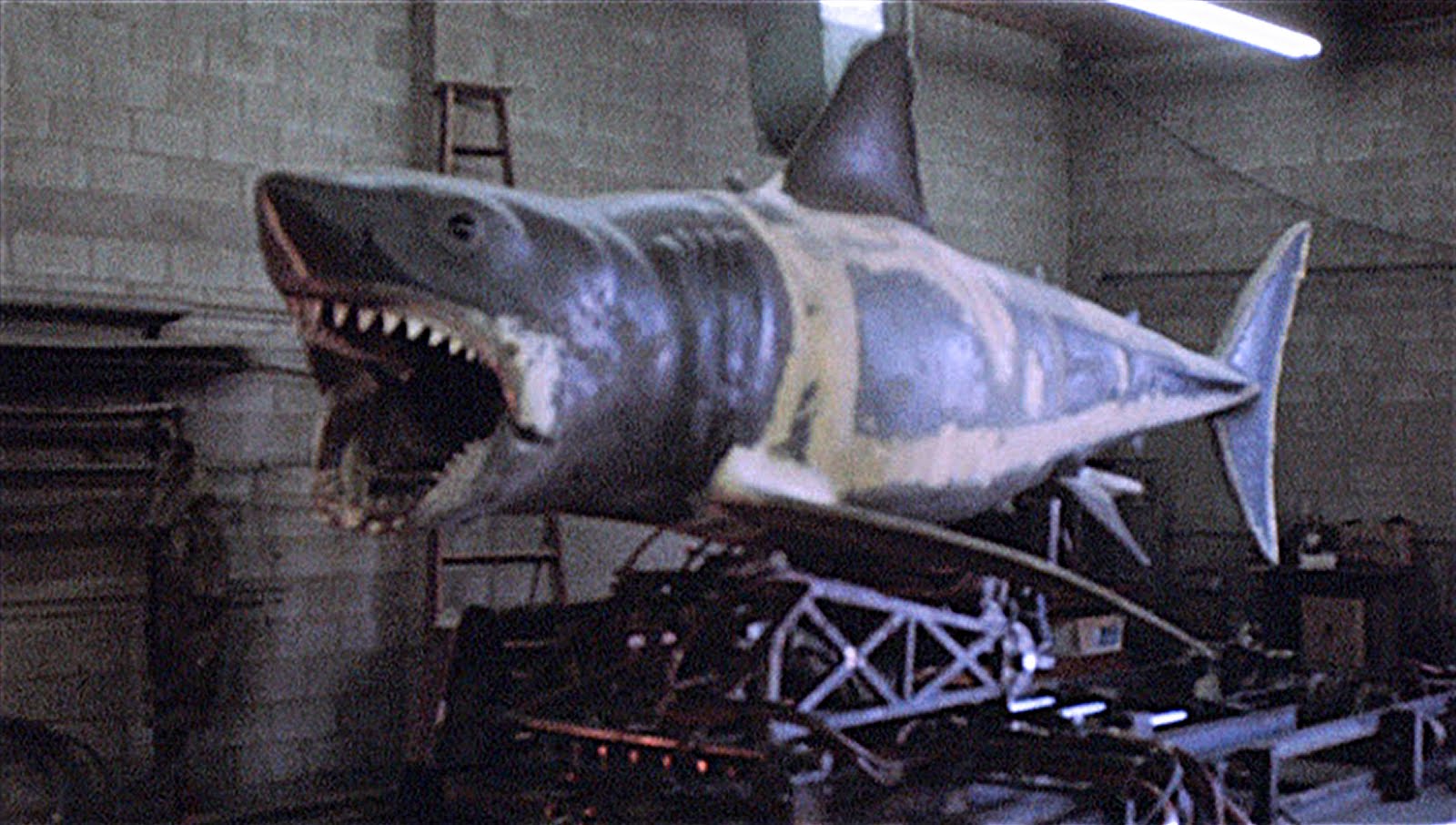 The JAWS bLog: Universal Studios: Photo-Op Shark (1976-1990)