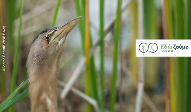 Ευρωπαϊκή Ημέρα Natura 2000: Μια γιορτή για την προστασία της φύσης