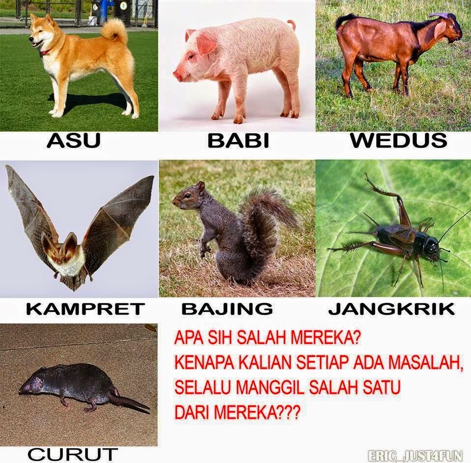 Kumpulan Meme Rage Comic Indonesia MRCI 2014